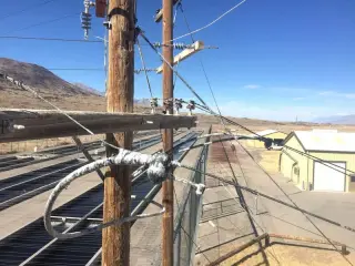 A wooden distribution pole carrying crossarms, insulators and conductor, with hatchery buildings below