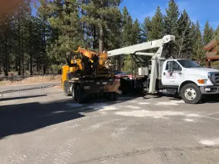 A boom truck with its boom stowed parked on a plant road among tall pine trees